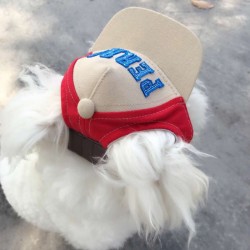 Dog Baseball Caps