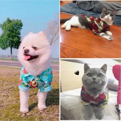 Custom Pet Hawaiian Shirts Style Designer Pet Shirts Puppy Luxury Brand Fashion Doggy Clothes Apparel