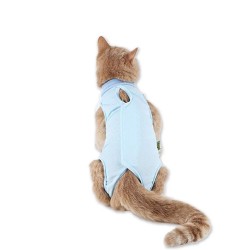 Custom Pet Recovery Suit