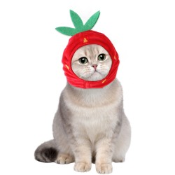 Strawberry Hat