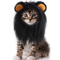 Custom Pet Lion Wig