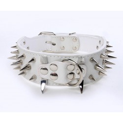 New Solid Pet Collar With Vintage Pattern for Dog Collar