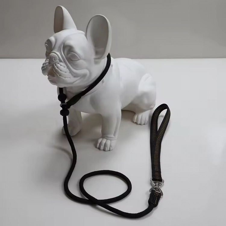 Pet Leash for Training and Handling Dogs