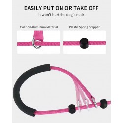 Custom Outdoor Dog Collar and Take off Strong Dog Lead leash