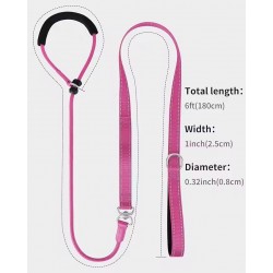 Custom Outdoor Dog Collar and Take off Strong Dog Lead leash