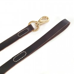 Pet Collar Hand Holding Rope for Dogs