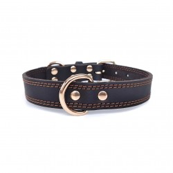 Pet Collar With Double buckle for Small Pets