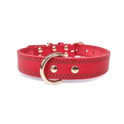 Custom Leather Pet Collar