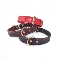 Custom Leather Pet Collar