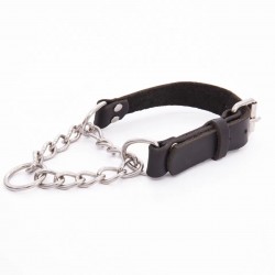 Dog Collar With Stainless Steel Pull-on Type