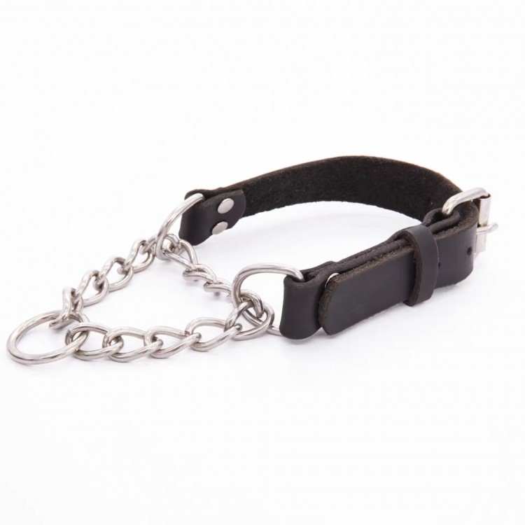 Dog Collar With Stainless Steel Pull-on Type Dog Collar With Stainless Steel Pull-on Type