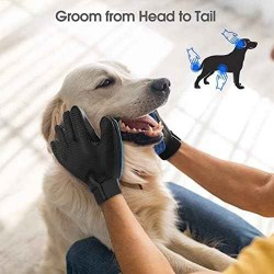 where to buy pet hair remover gloves shedding brush pet hair gloves from China supplier