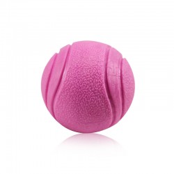Wholesale the best petpawjoy Chew Toys for Dogs