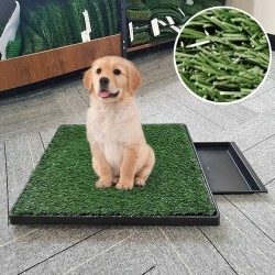 where to buy pet pee pad pee pad for cats pee pad for dogs from china supply