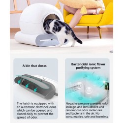 where to buy Cat Box Cat Litter Box Automatic Cat Box from china supply