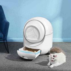 where to buy Cat Box Cat Litter Box Automatic Cat Box from china supply
