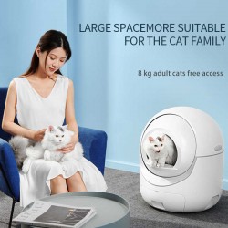 where to buy Cat Box Cat Litter Box Automatic Cat Box from china supply