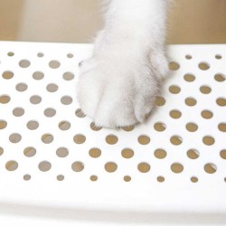 where to buy Cat Box Cat Litter Box cat sand litter box from china supply