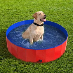 where to buy pet swimming pool dog bathing tools Grooming bathtub from china supply