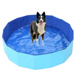 where to buy pet swimming pool dog bathing tools Grooming bathtub from china supply
