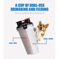 Water Bottle