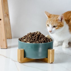 Custom Food Feed Bowl Stand Dog Bowls Elevated Ceramic Dog Bowl