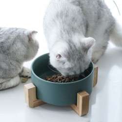 Dog Bowl