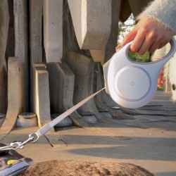 Wholesale Automatic Leash Retractable Dog Collar With LED