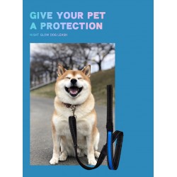 Custom Dog Training Leash Plastic Material Collar for Walk