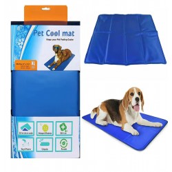 cat Mat Dogs