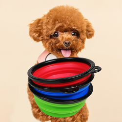 Water Bowl