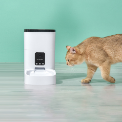 Custom Cats Food Feeder and New Automatic Cat Dog Steel Bowl