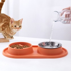 Feeding Bowl