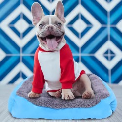 Pet Beds