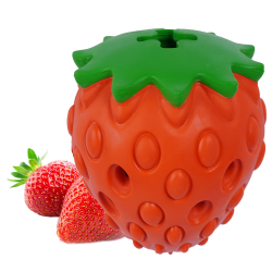 Chew Toy