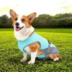 Pet Cooling Vest