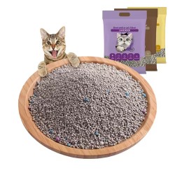 Cat Litter