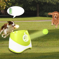 Tennis Ball