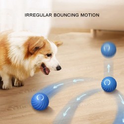 Custom Chirping Cat Toy and Ball Hunting Cover Play Mat