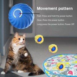Custom Chirping Cat Toy and Ball Hunting Cover Play Mat