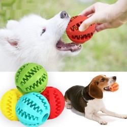 Puppy Chew Toy