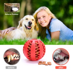Chew Toy