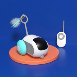 Wholesale Pet Remote Car