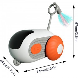 Pet Remote Car