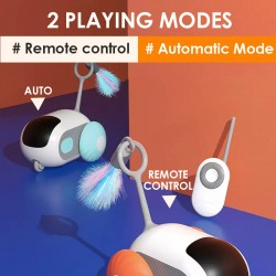 Remote Car