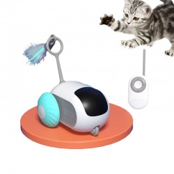 Wholesale Pet Remote Car