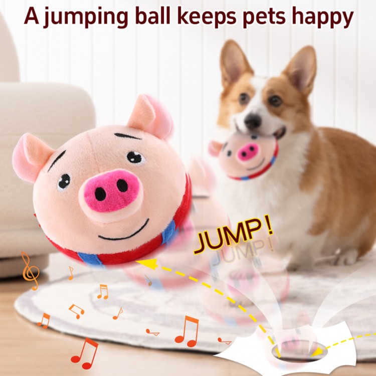 Bouncing Pet Ball Bouncing Pet Ball
