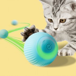 Custom Cat Rolling Ball