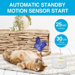 Butterfly Toy
