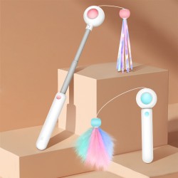 Cat Wand Toy